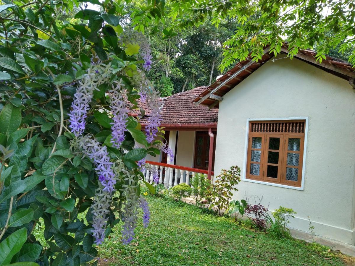 The Pepper Cottage Gomagoda 外观 照片