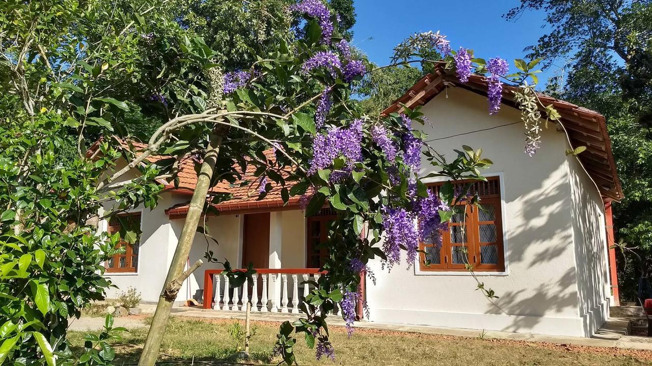 The Pepper Cottage Gomagoda 外观 照片